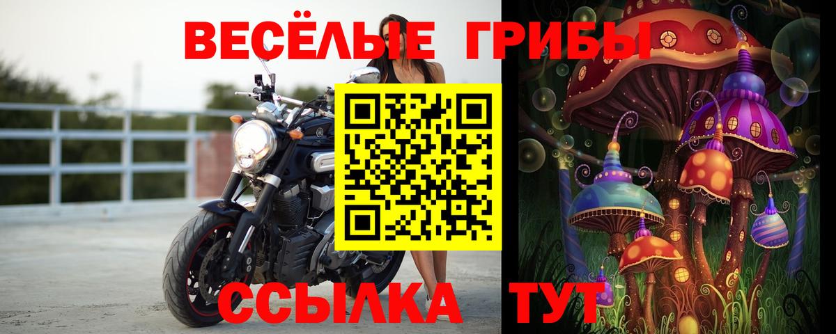 Галлюциногенные грибы Magic Shrooms  Псилоцибиновые грибы Psilocybine cubensis  Советск  Вход с VPN 