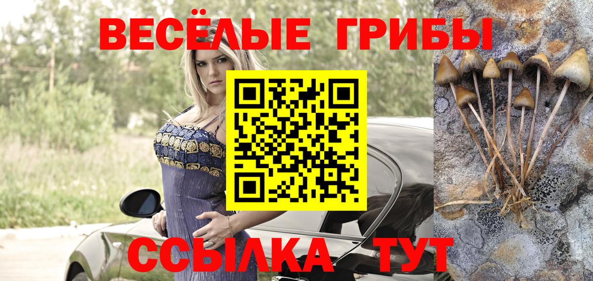 Галлюциногенные грибы ЛСД Советск
